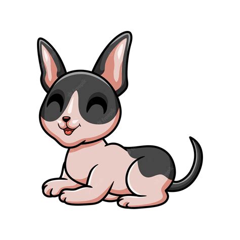 Premium Vector Cute Cat Cornish Rex Cartoon