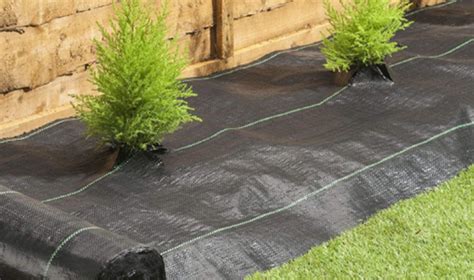 Best Weed Barrier Review Guide For This Year Best Reviews This Year