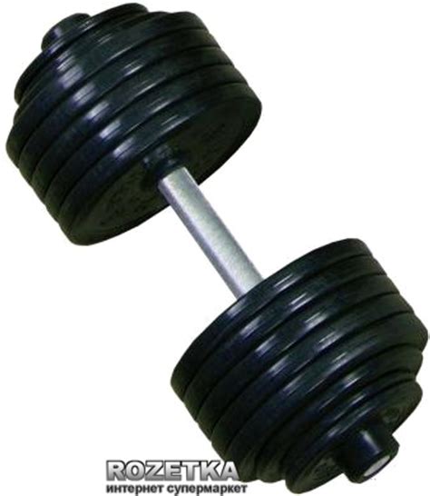 Гантель профессиональная InterAtletika 35 кг (ST 550.35) – низкие цены ...