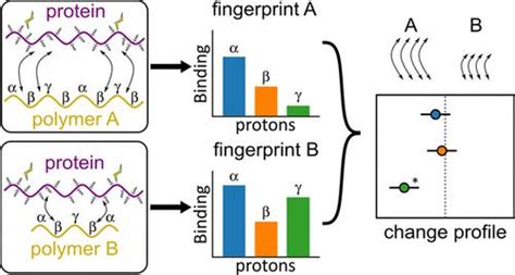 聚合物种类、分子量和功能化对粘蛋白 聚合物结合相互作用的机理影响acs Applied Polymer Materials X Mol