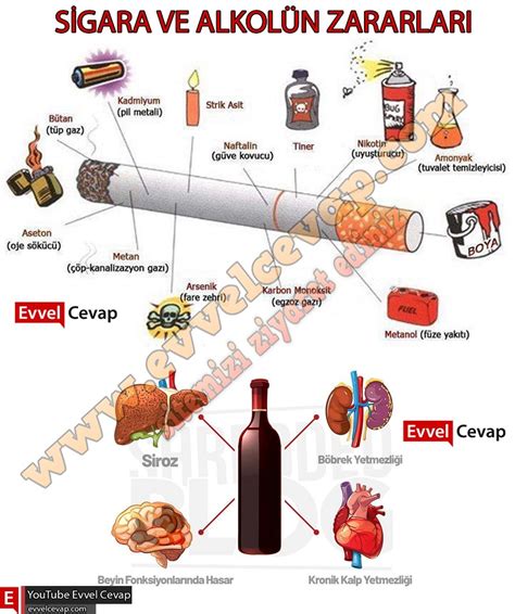 Sigara Ve Alkolun Zararlari Afis Dev Zaman