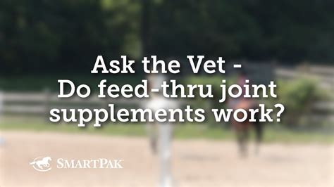 Horse Owner’s Guide to Joint Supplements – FAQ, Video & Tips