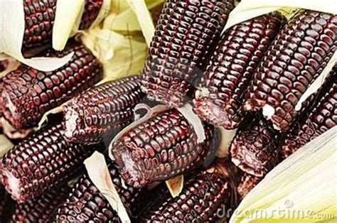 Corn Seeds ★ Black Aztec Sweet ★ Easy To Dry And Store ★ Rare Variety