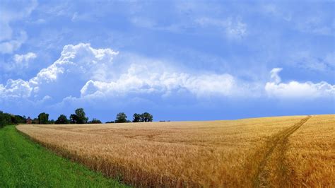 1920x1080 Nature Grass Wallpapers Road Field Fields Road Grass