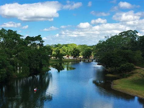 Belize Botanic Garden Pacz Tours