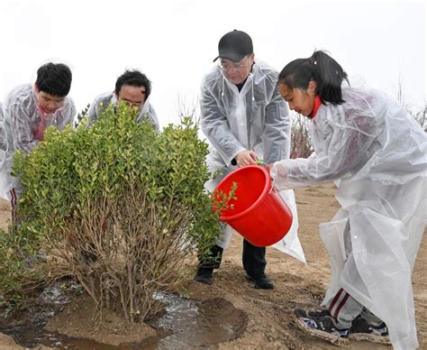 Xi Jinping Plante Des Arbres Beijing Et Appelle Davantage D Efforts