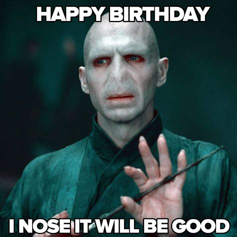 24+ Happy Birthday Harry Potter Meme - DemileeLeora