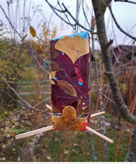 A Bird Feeder Hanging From A Tree With Leaves On It S Sides And Sticks