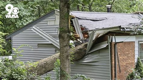 Verify Who Pays If Your Neighbors Tree Falls On Your Home Youtube