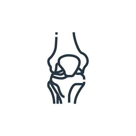 Knee Joint Sketch Icon Stock Vector Image By VisualGeneration 113300582