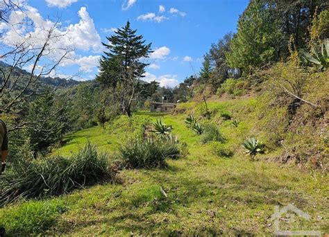 Venta De Terreno En La Palma Carboneras Mineral Del Chico Lamudi Mx