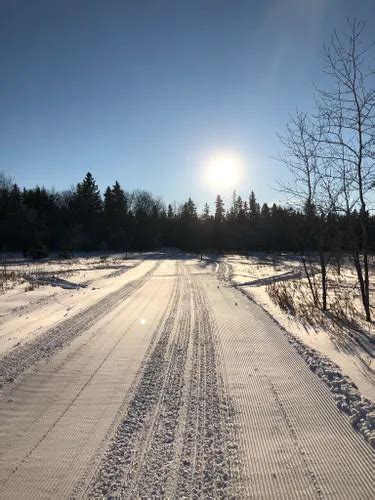 10 Best Cross Country Skiing Trails In Birds Hill Provincial Park Alltrails