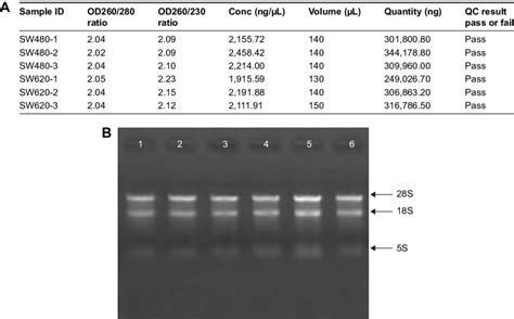 Rna Quality Control In Total Six Cell Samples A Rna Quantification