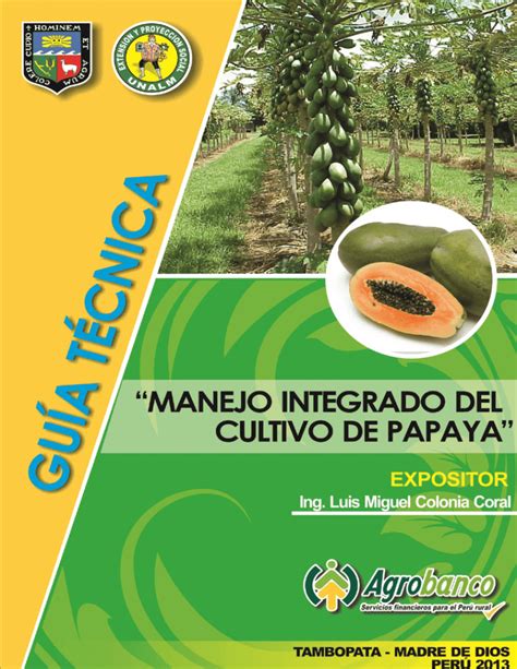 MANEJO INTEGRADO DEL CULTIVO DE PAPAYA