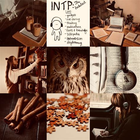 Intp The Philosopher Aesthetic Intp Personality Intp Personality