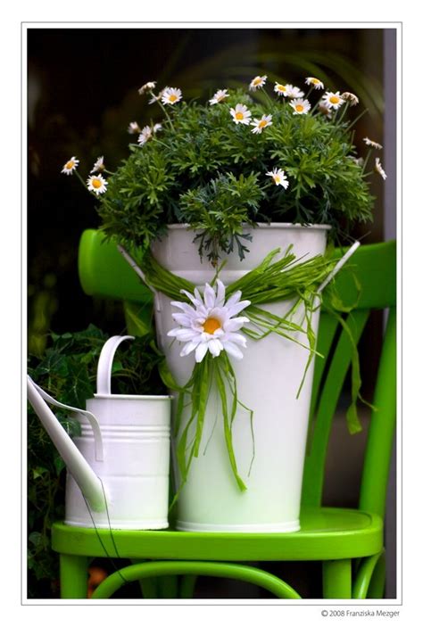 Hardsadness Daisy Beautiful Flowers Flower Pots