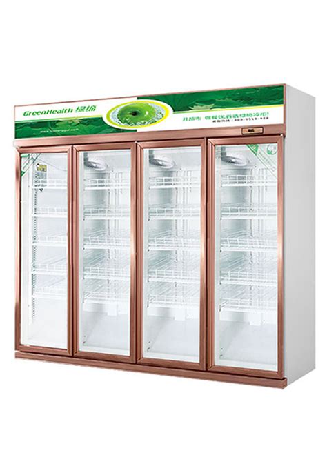 Upright Cooler Commercial Glass Door Refrigerator Cold Drink Beverage Display