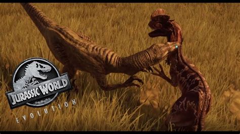 Jurassic World Evolution Dilophosaurs Vs Velociraptor Fps Hd