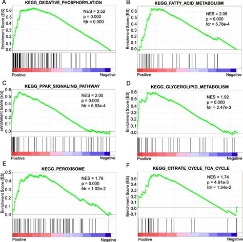 Gsea Analysis For All Imf Correlated Genes Six Significantly Enriched