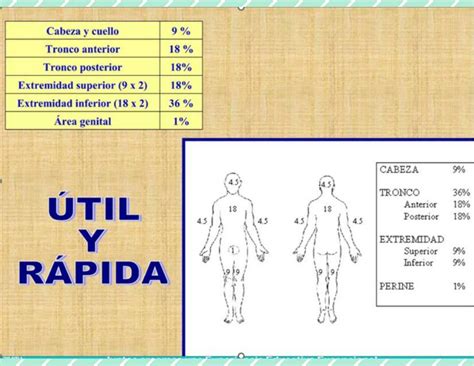 Quemaduras Porcentaje Alxnsx S Udocz