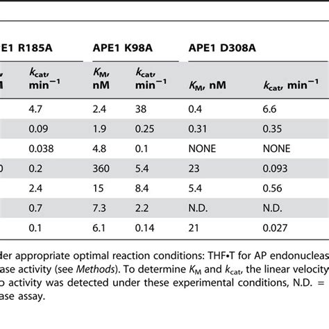 Steady State Kinetic Parameters Of The WT And Mutant APE1 Proteins