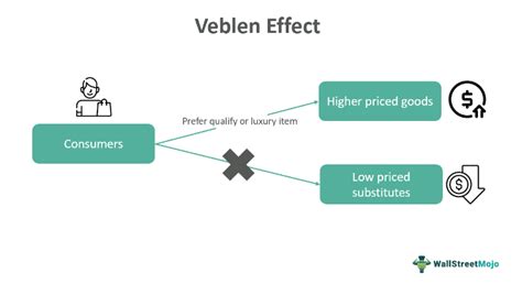 Veblen Effect - What Is It, Economics, Examples, Vs Snob Effect