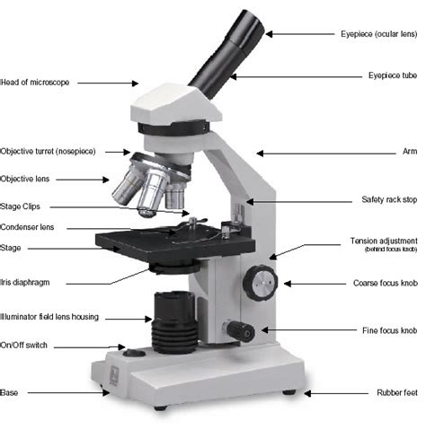 Parts of a Light Microscope - Microscopy