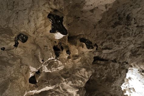 Neolithic Flint Mines At Spiennes Mons België Beoordelingen