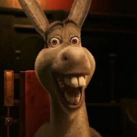 Create Meme Donkey From Shrek Meme Donkey From Shrek Donkey From