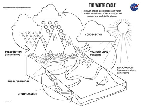 Coloring Page: The Water Cycle – Climate Change: Vital Signs of the Planet