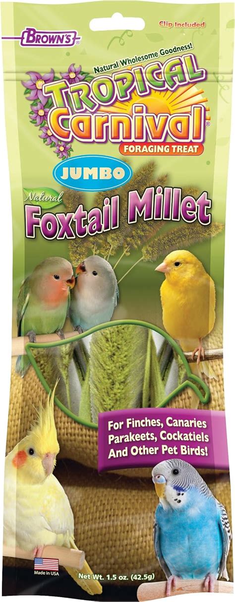 Amazon F M Brown S Tropical Carnival Natural Foxtail Millet For