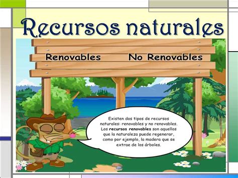 Tipos Y Ejemplos De Conservación De Los Recursos Naturales Doncomo ️