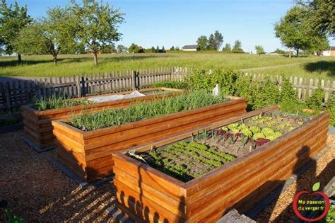 Bacs En Bois Pour Potager En Permaculture Ma Passion Du Verger Bac