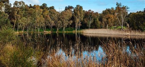 Walpole Road Wetlands City Of Salisbury