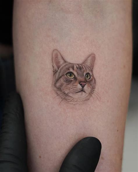 Réalisme Micro Cat Tattoo By W Ink