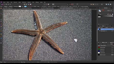 TUTO Maîtriser les outils de détourage dans Affinity Photo sur Tuto