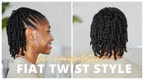 Flat Twists And Mini Twists Protective Style Low Manipulation Hairstyle Youtube