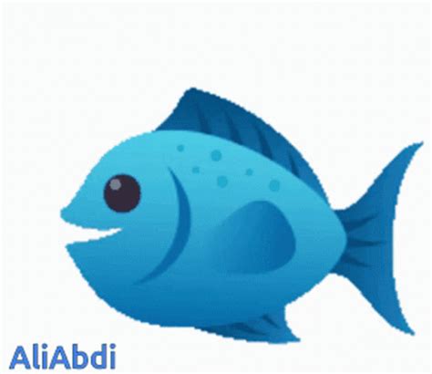 Fish Fish Discover Share GIFs