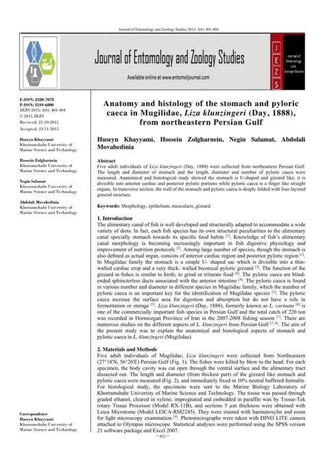 (PDF) Anatomy and histology of the stomach and pyloric caeca in Mugilidae, Liza klunzingeri (Day ...