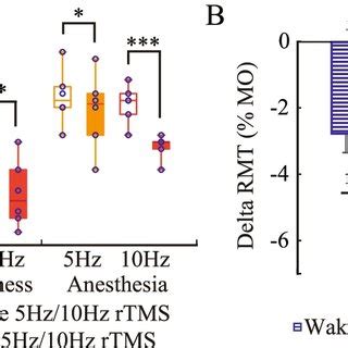 Repetitive Transcranial Magnetic Stimulation Rtms Induced Modulation