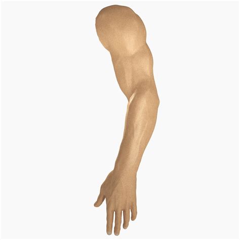 Male Arm Anatomy 3D Model $59 - .fbx .max .ma .obj - Free3D