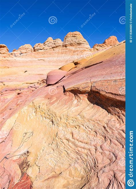 Coyote Buttes South Stock Image Image Of Plant Landscape 211530405