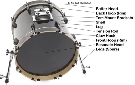 Drum Anatomy Parts Of The Bass Drum And Drum Pedal Classify Sound