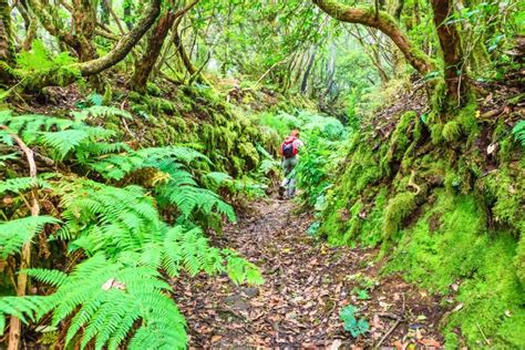 Parque Rural De Anaga Naturaleza Y Cultura En Tenerife Espa A