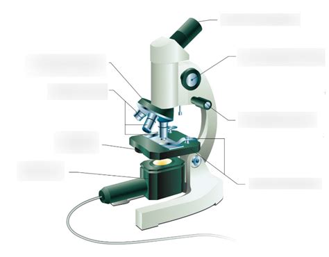 Diagram Of Microscope Labelling Activity Quizlet