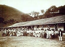 Coffee production in Brazil - Wikipedia