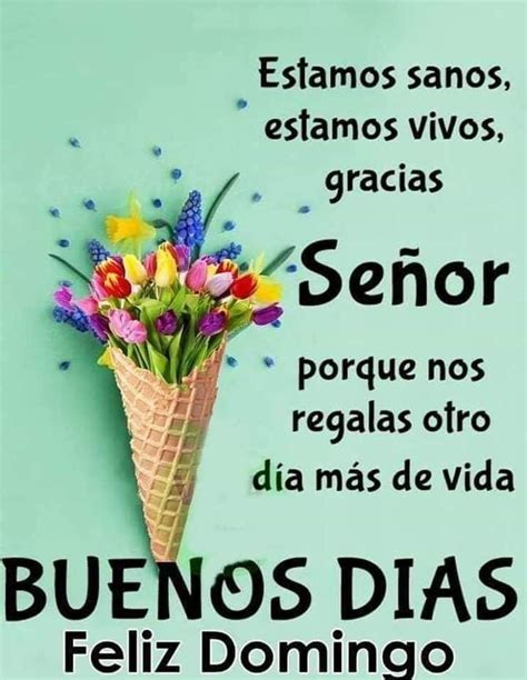 Pin De Elena Gonzales En Saludos De Buenos Dias Feliz Domingo Frases