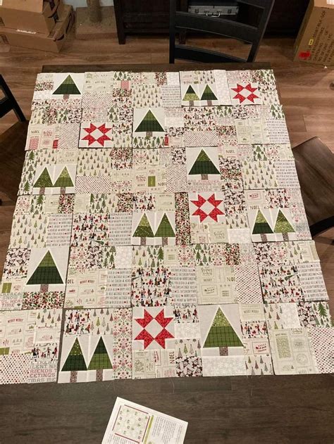 Pin By Mary Jones On Quilt Ideas Christmas Quilting Projects