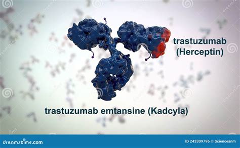 The Structure Of A Typical Antibody Moleculeantibodies And Amino Acids