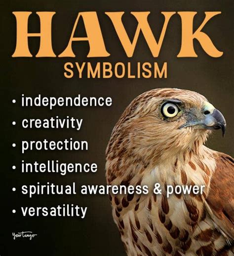 Hawk Meaning Native American Discount Dakora Co